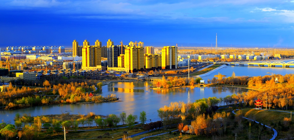 新疆维吾尔自治区博乐市领导莅临中亚参观考察(图5)